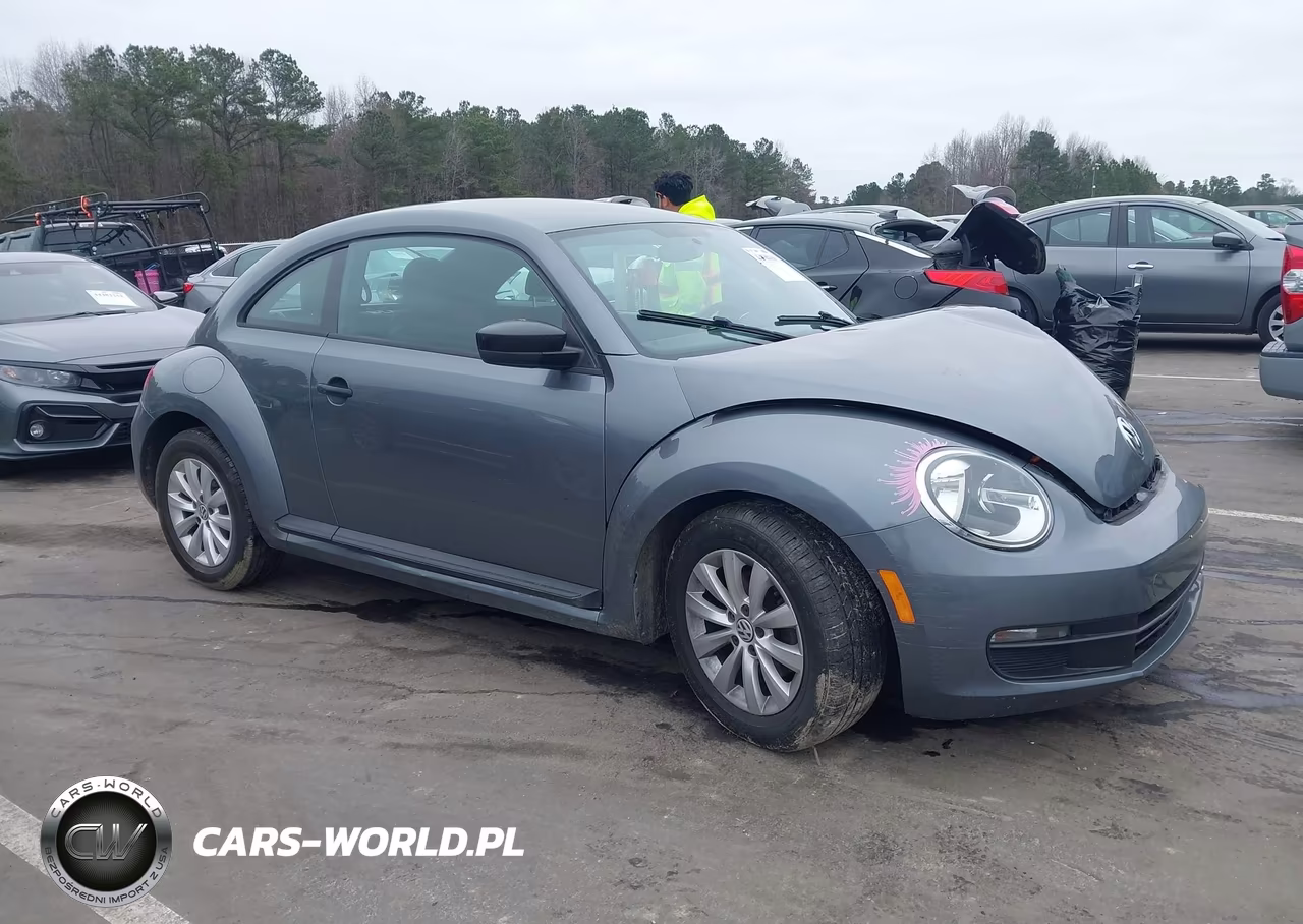2013 VOLKSWAGEN BEETLE