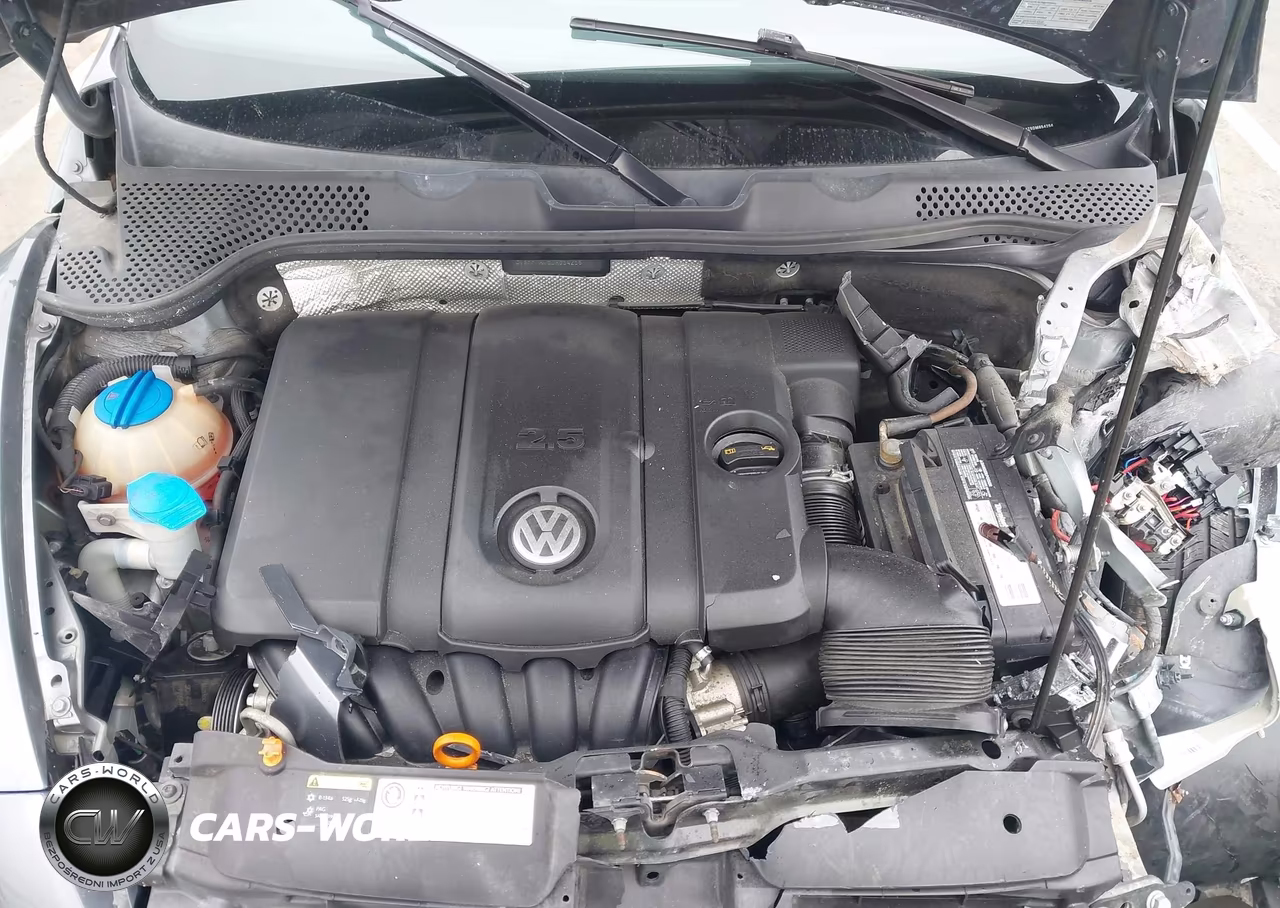 2013 VOLKSWAGEN BEETLE VIN:3VWFP7AT5DM654256 - 10