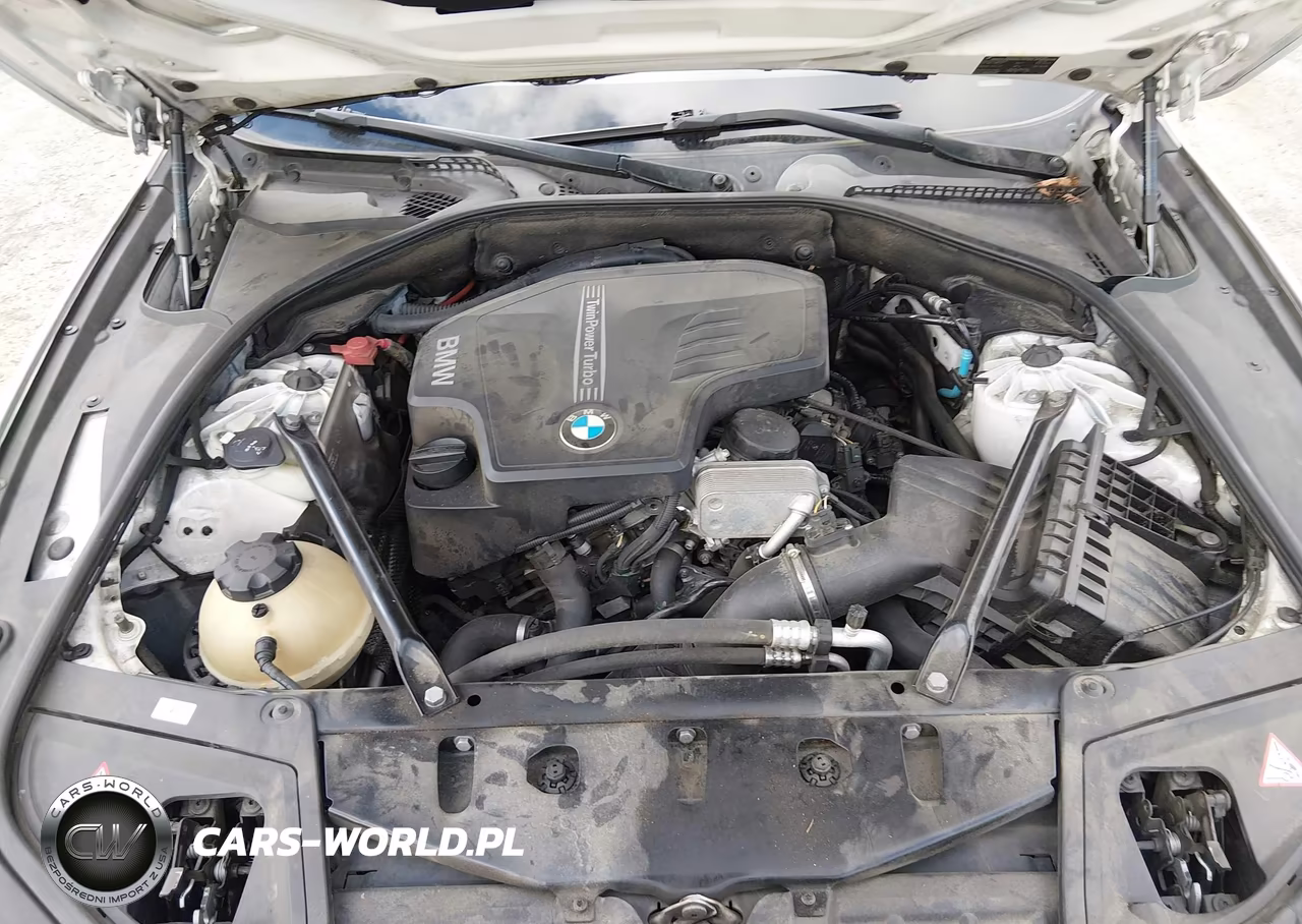 2015 BMW 528I VIN:WBA5A5C55FD521592 - 10