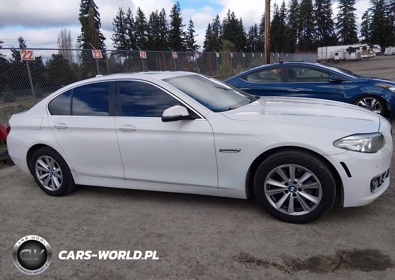 2015 BMW 528I VIN:WBA5A5C55FD521592 - 13