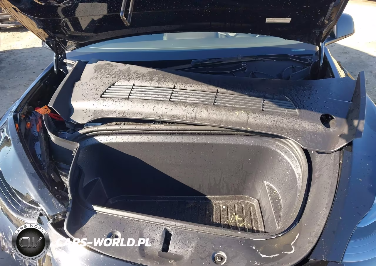 2024 Tesla Model Y Long Range Dual Motor All-Wheel Drive VIN:7SAYGDEE6RA331643 - 10