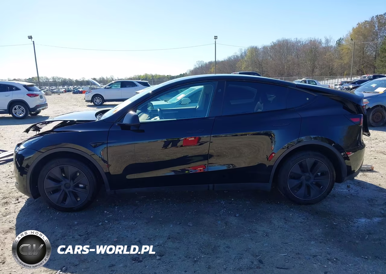 2024 Tesla Model Y Long Range Dual Motor All-Wheel Drive VIN:7SAYGDEE6RA331643 - 15