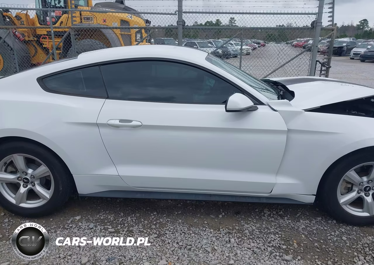 2018 Ford Mustang Ecoboost VIN:1FA6P8TH3J5118589 - 14
