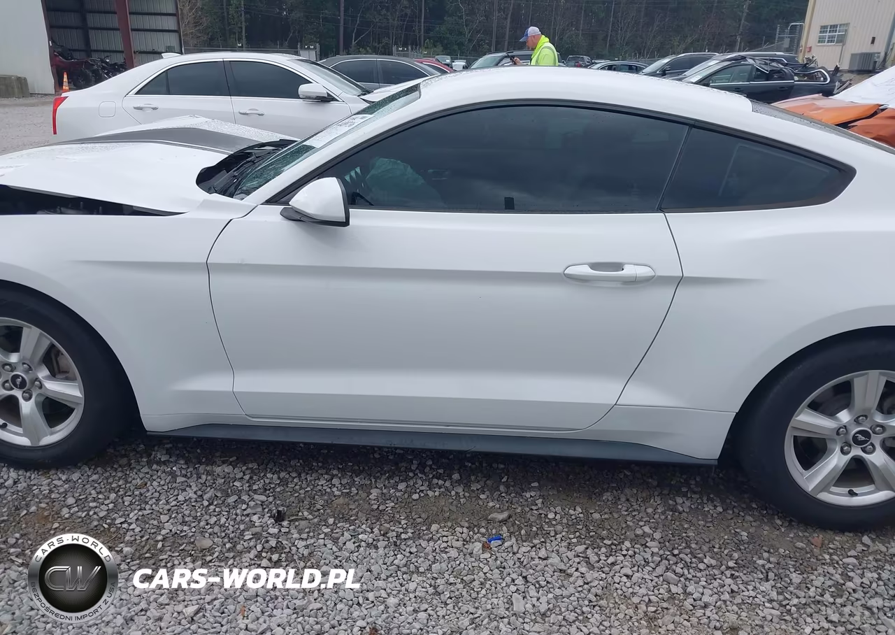 2018 Ford Mustang Ecoboost VIN:1FA6P8TH3J5118589 - 15