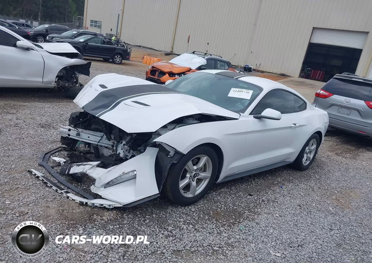 2018 Ford Mustang Ecoboost VIN:1FA6P8TH3J5118589 - 2