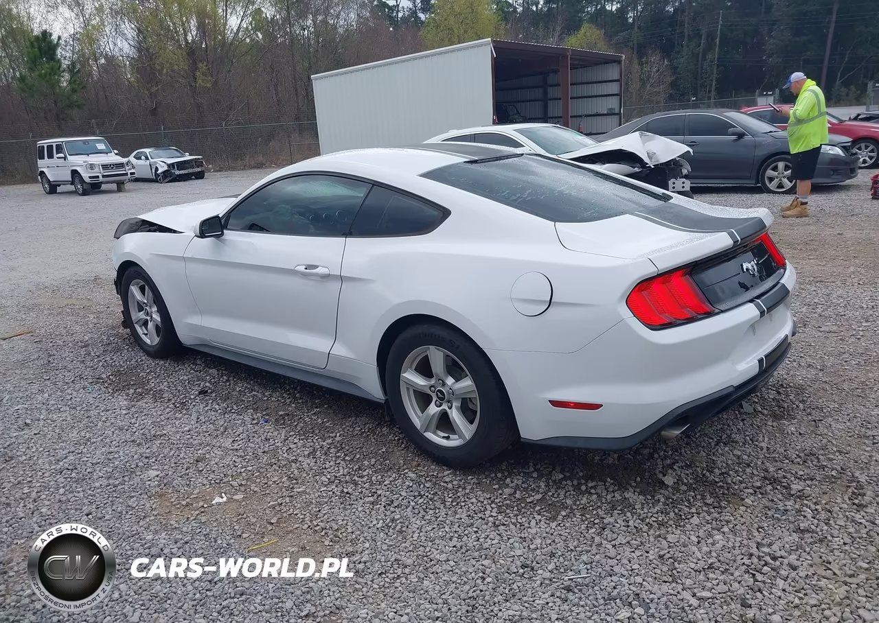 2018 Ford Mustang Ecoboost VIN:1FA6P8TH3J5118589 - 3