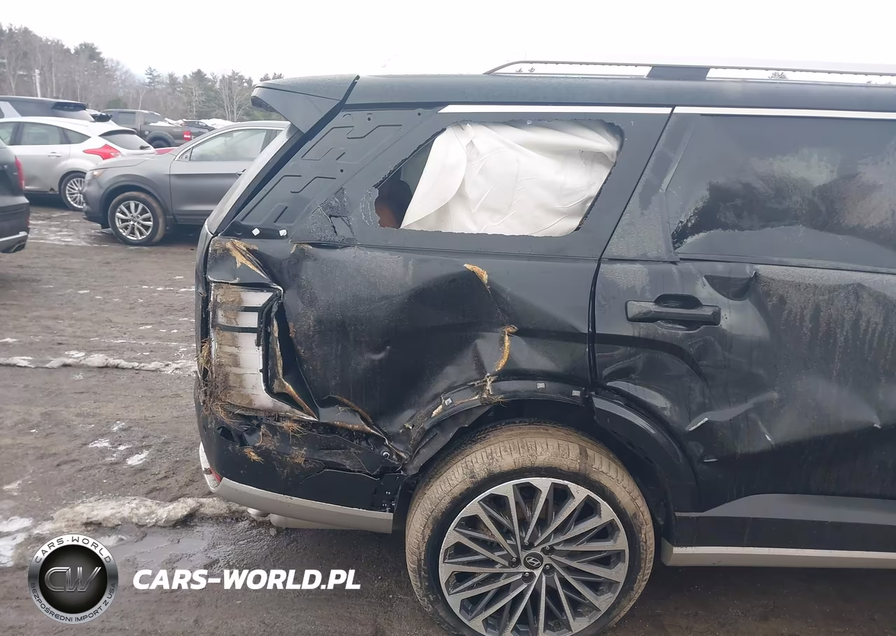 2026 Hyundai Palisade Hev Calligraphy VIN:KM8RMESA2TU032875 - 6