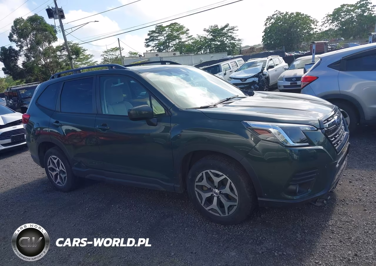 2022 Subaru Forester Premium VIN:JF2SKAEC7NH495416 - 13