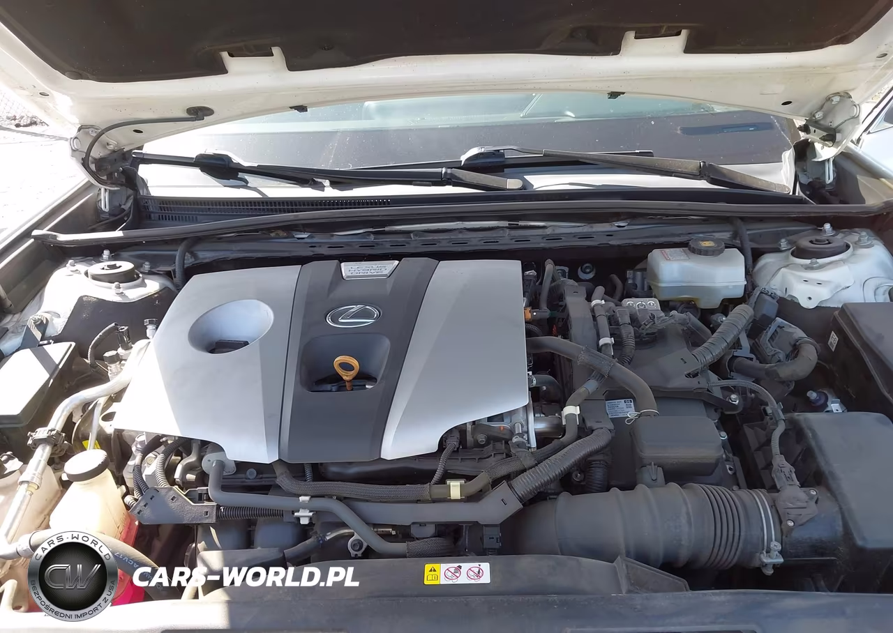 2020 Lexus Es 300H VIN:58AD21B12LU009565 - 10