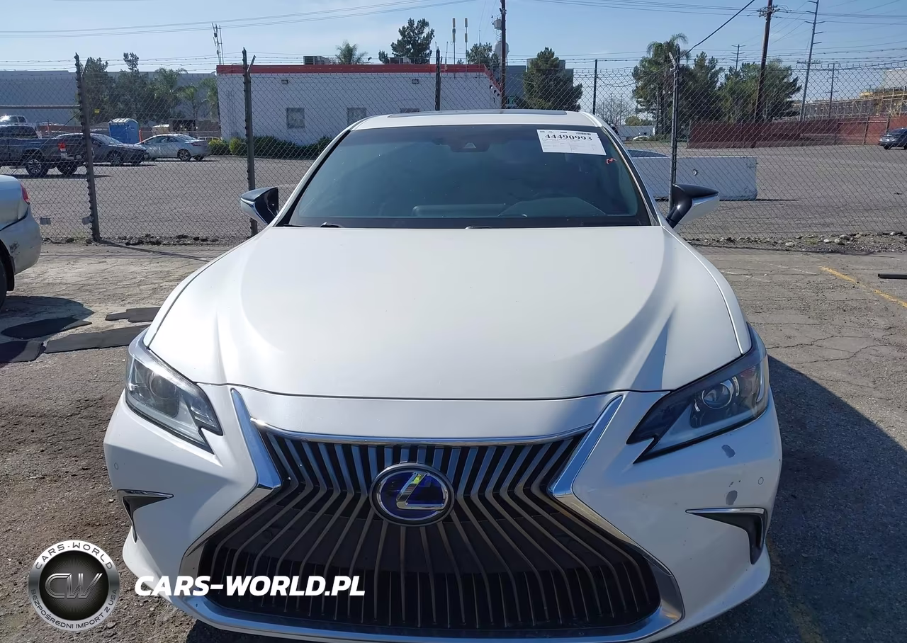 2020 Lexus Es 300H VIN:58AD21B12LU009565 - 12