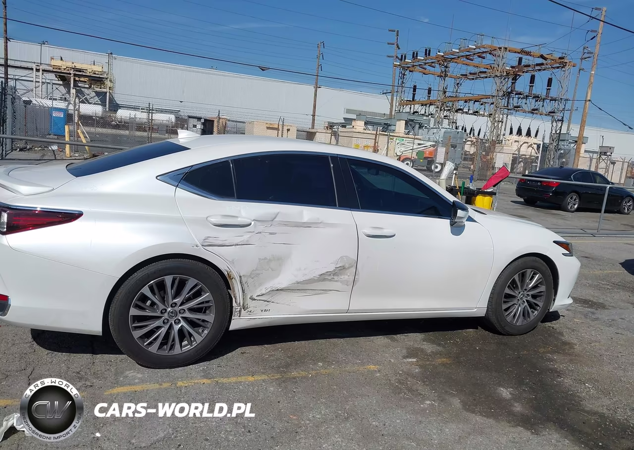 2020 Lexus Es 300H VIN:58AD21B12LU009565 - 13
