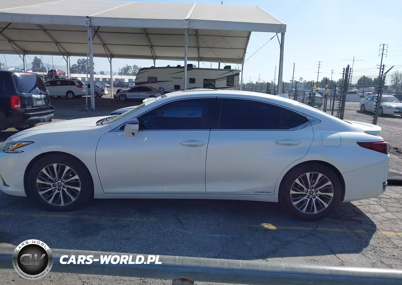 2020 Lexus Es 300H VIN:58AD21B12LU009565 - 14