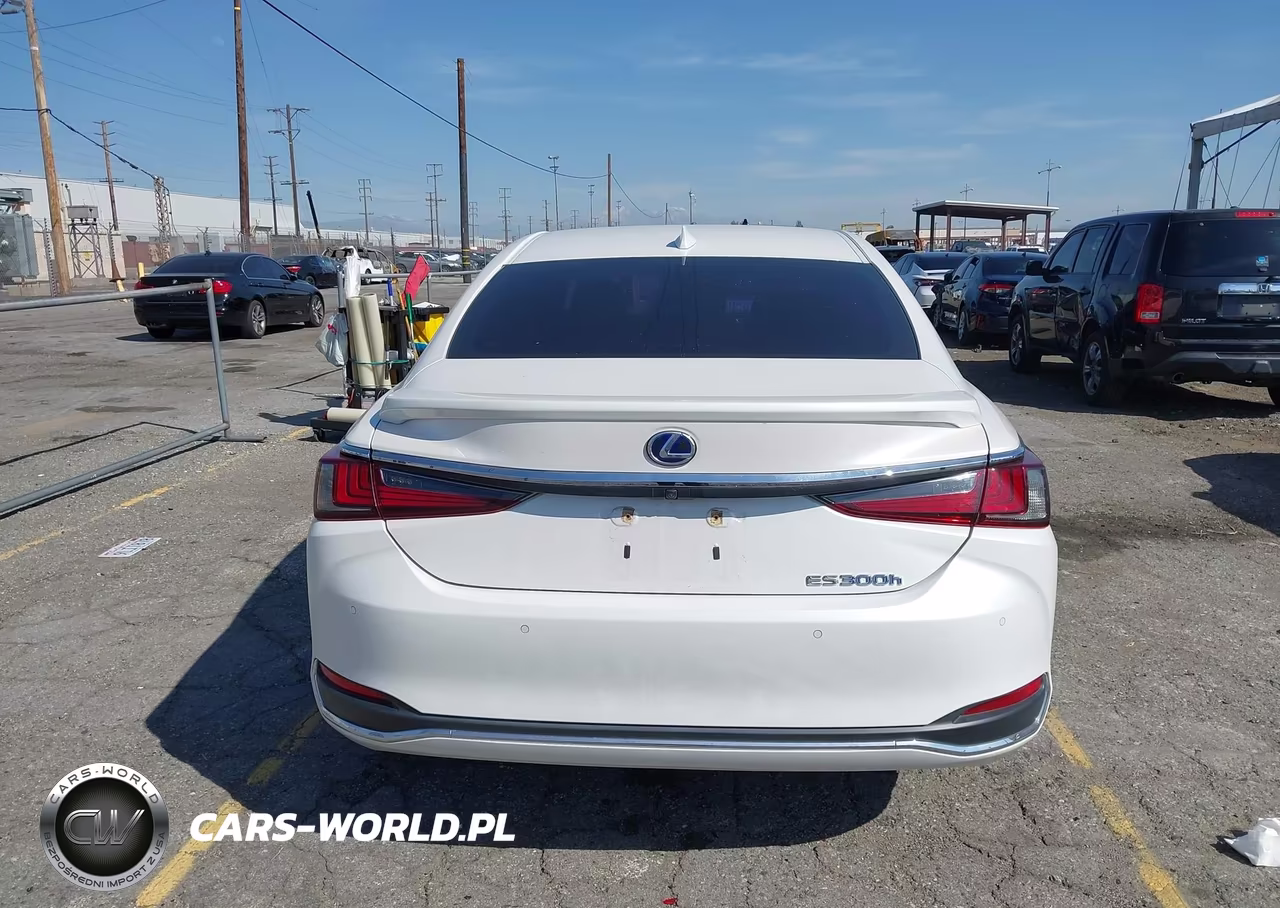 2020 Lexus Es 300H VIN:58AD21B12LU009565 - 16