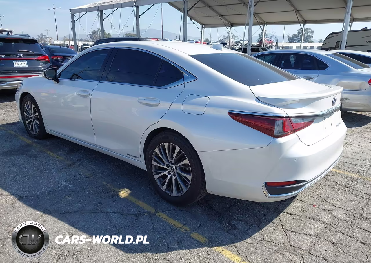 2020 Lexus Es 300H VIN:58AD21B12LU009565 - 3