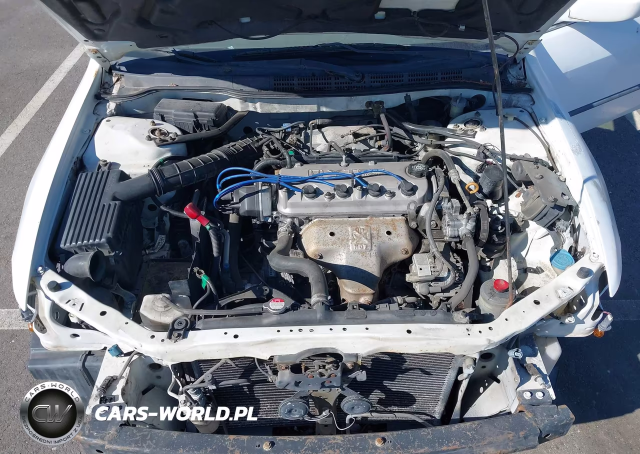 1999 Honda Accord Lx VIN:1HGCG554XXA141407 - 10