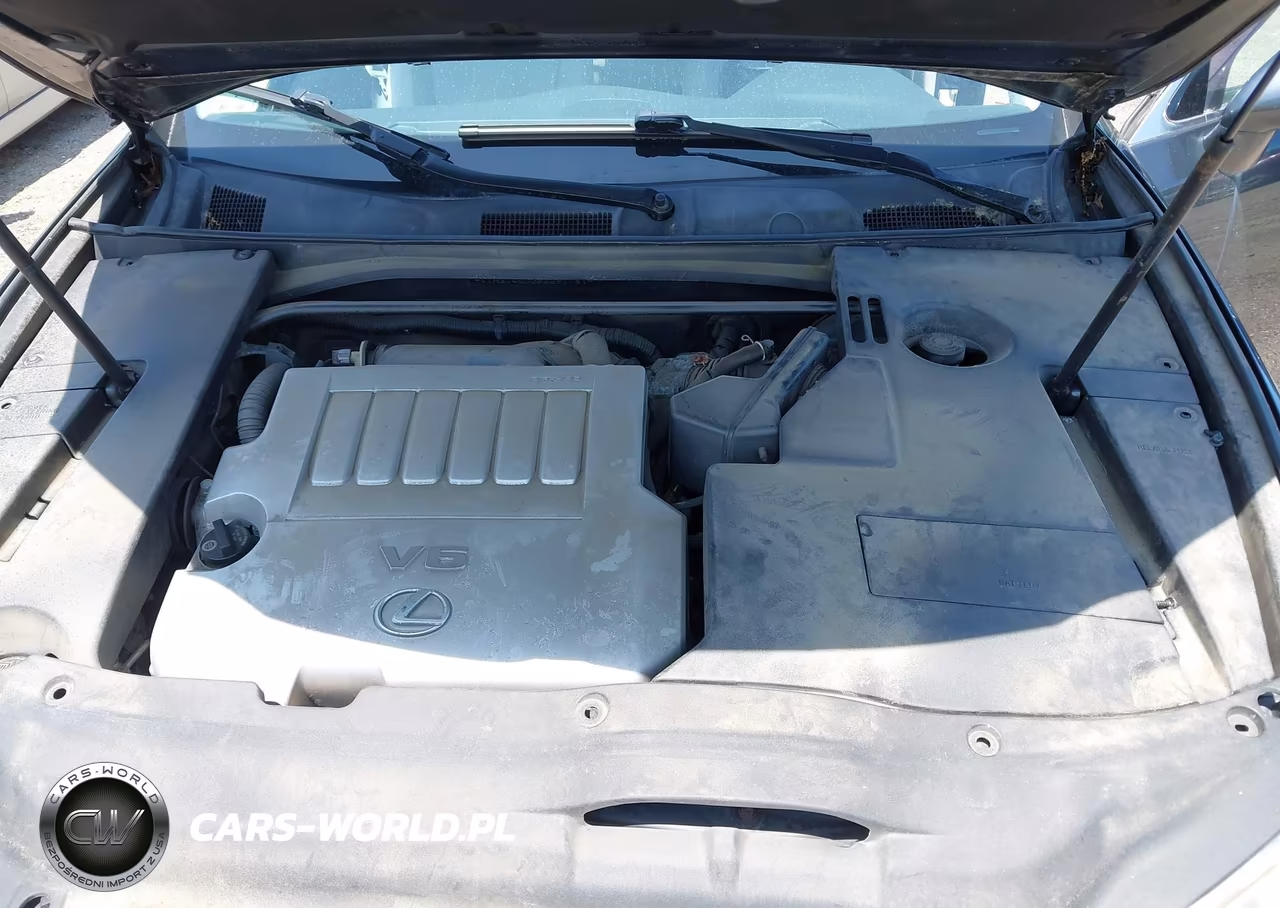 2009 Lexus Es 350 VIN:JTHBJ46G292291781 - 10