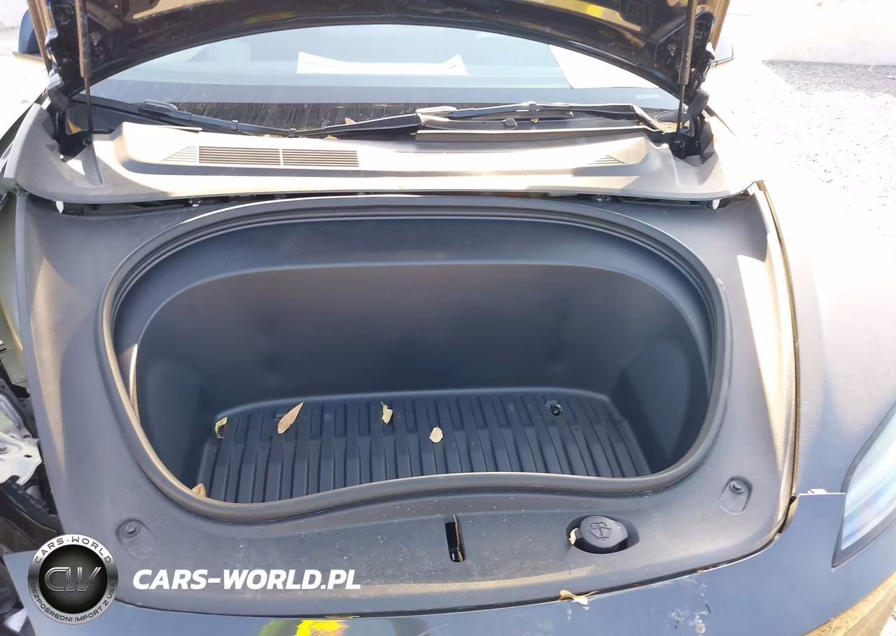 2025 Tesla Model 3 Long Range Rear-Wheel Drive-Standard Rear-Wheel Drive VIN:5YJ3E1EA8SF997792 - 10
