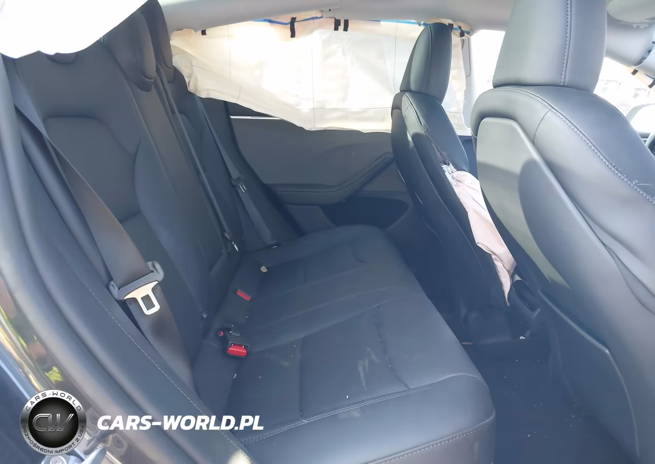 2025 Tesla Model 3 Long Range Rear-Wheel Drive-Standard Rear-Wheel Drive VIN:5YJ3E1EA8SF997792 - 8
