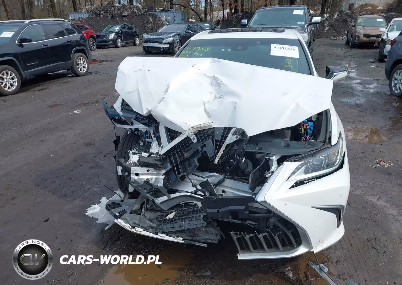 2024 Lexus Es 300H Luxury VIN:58AEA1C14RU052738 - 12
