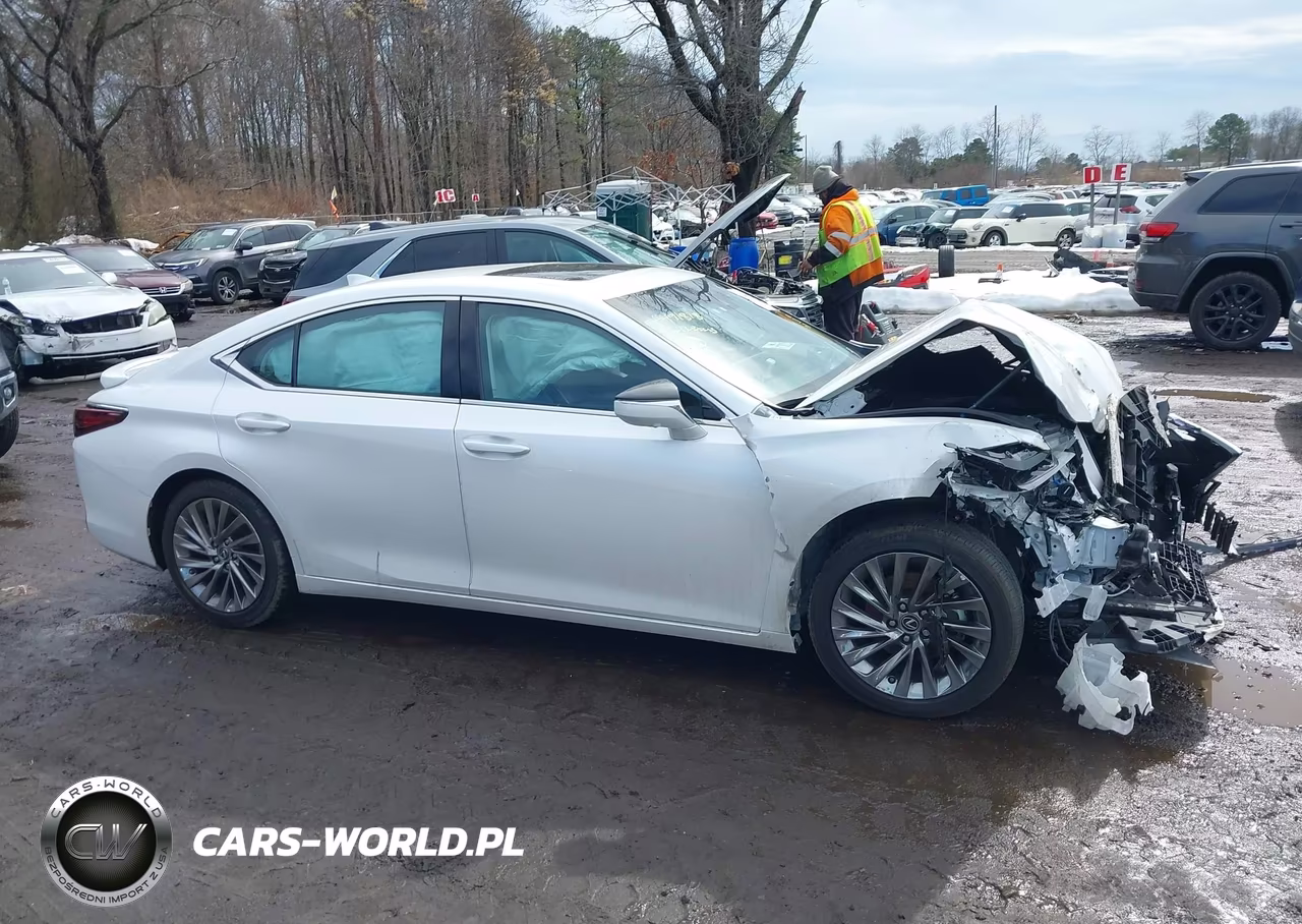 2024 Lexus Es 300H Luxury VIN:58AEA1C14RU052738 - 13