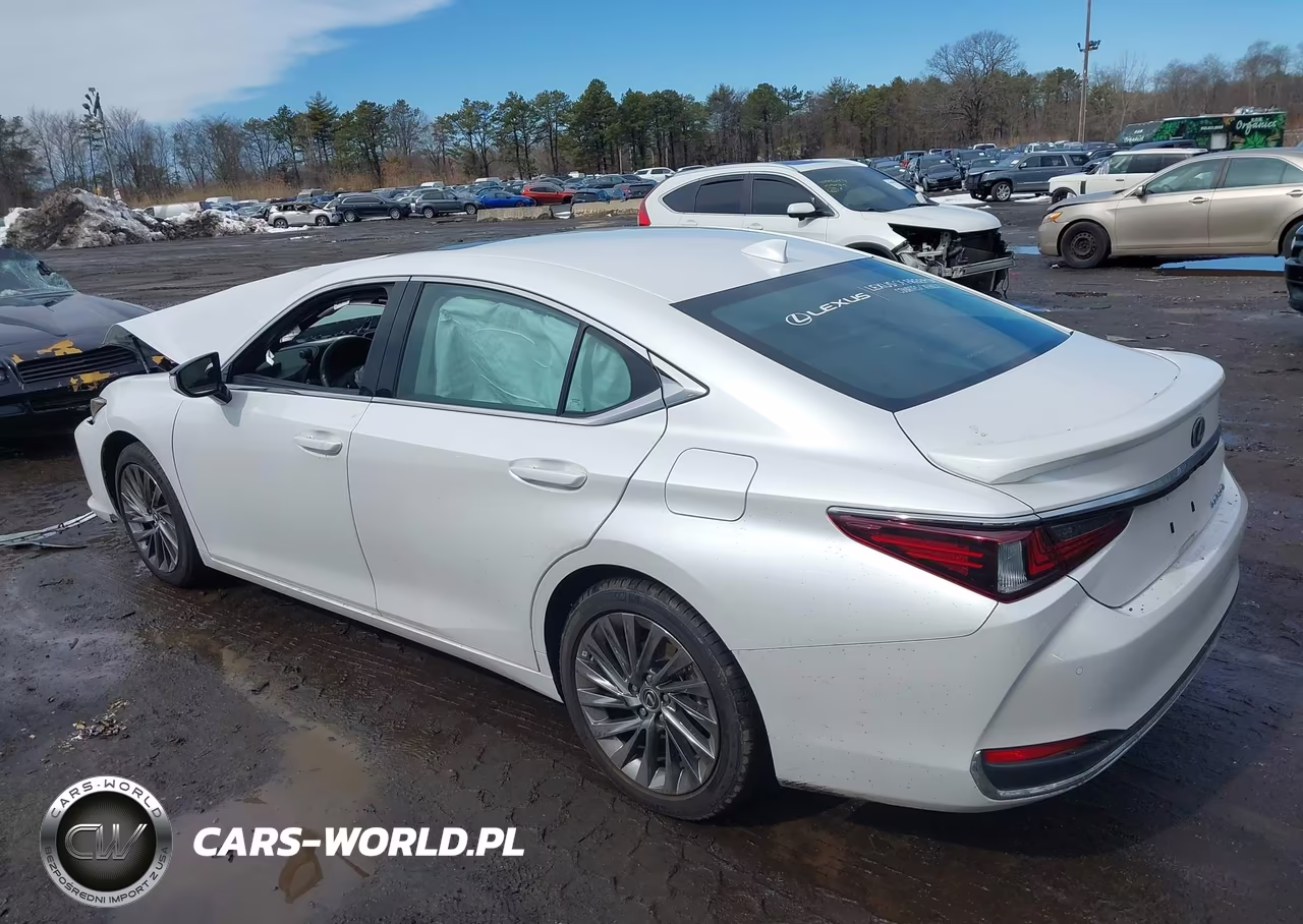 2024 Lexus Es 300H Luxury VIN:58AEA1C14RU052738 - 14