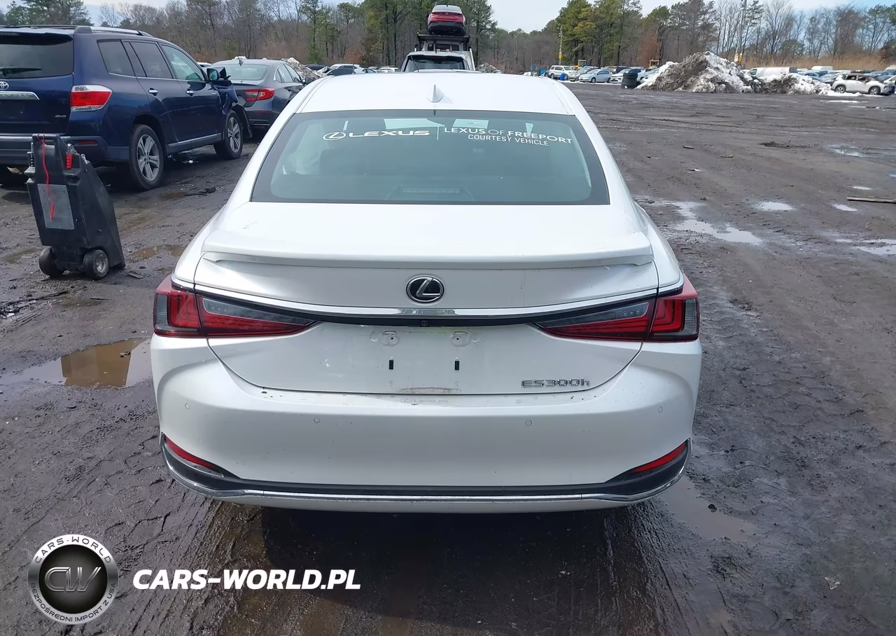 2024 Lexus Es 300H Luxury VIN:58AEA1C14RU052738 - 16