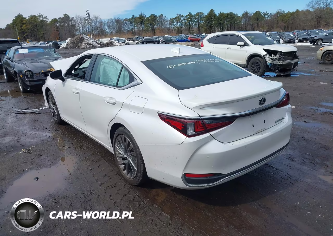 2024 Lexus Es 300H Luxury VIN:58AEA1C14RU052738 - 3