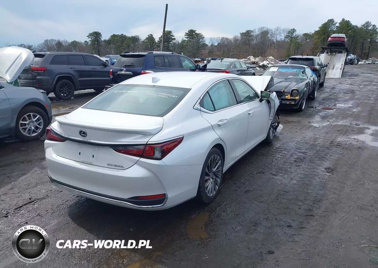 2024 Lexus Es 300H Luxury VIN:58AEA1C14RU052738 - 4
