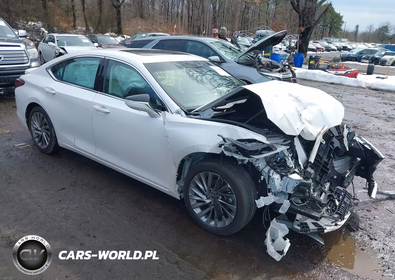 2024 Lexus Es 300H Luxury VIN:58AEA1C14RU052738 - 6