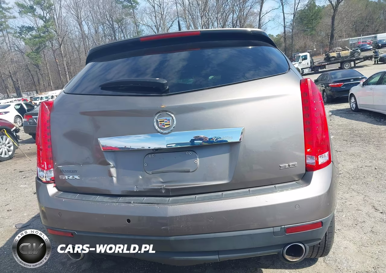 2012 Cadillac Srx Luxury Collection VIN:3GYFNAE30CS524521 - 17