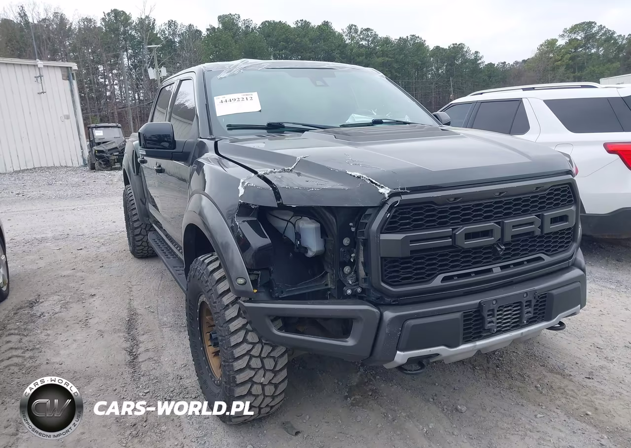 2017 Ford F-150 Raptor – zdjęcie 1 z 21