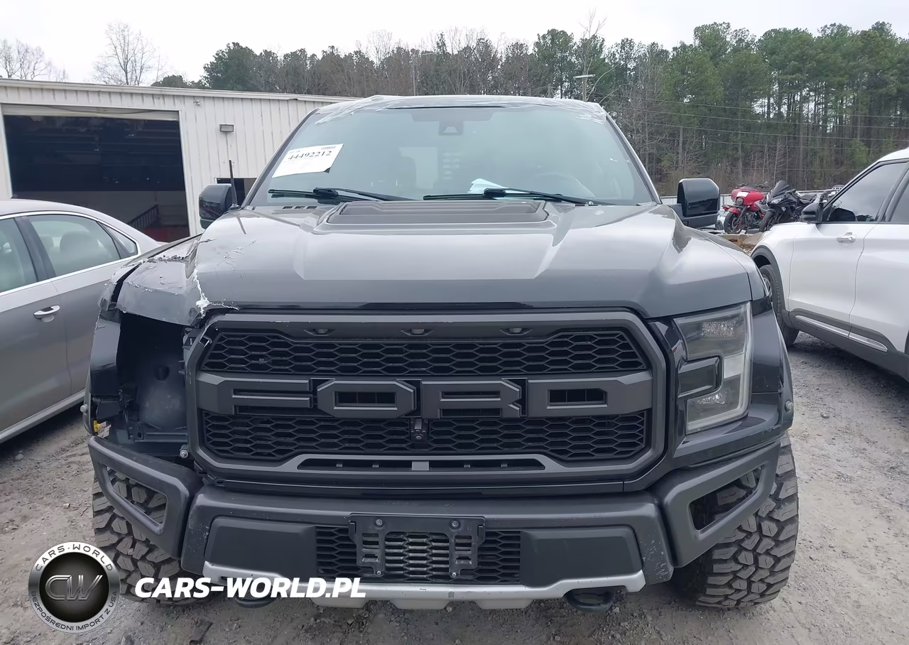 2017 Ford F-150 Raptor VIN:1FTFW1RG0HFB69622 - 12