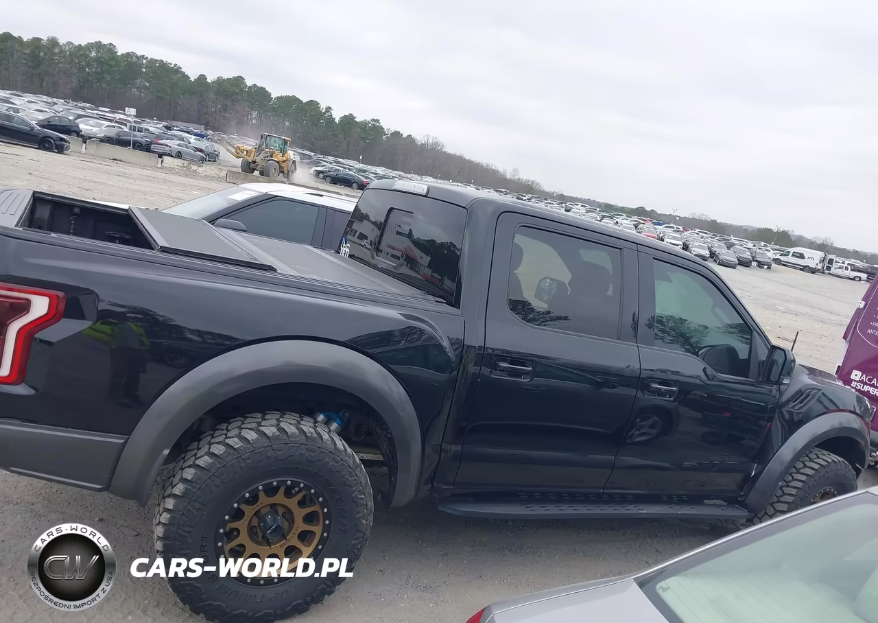 2017 Ford F-150 Raptor VIN:1FTFW1RG0HFB69622 - 13