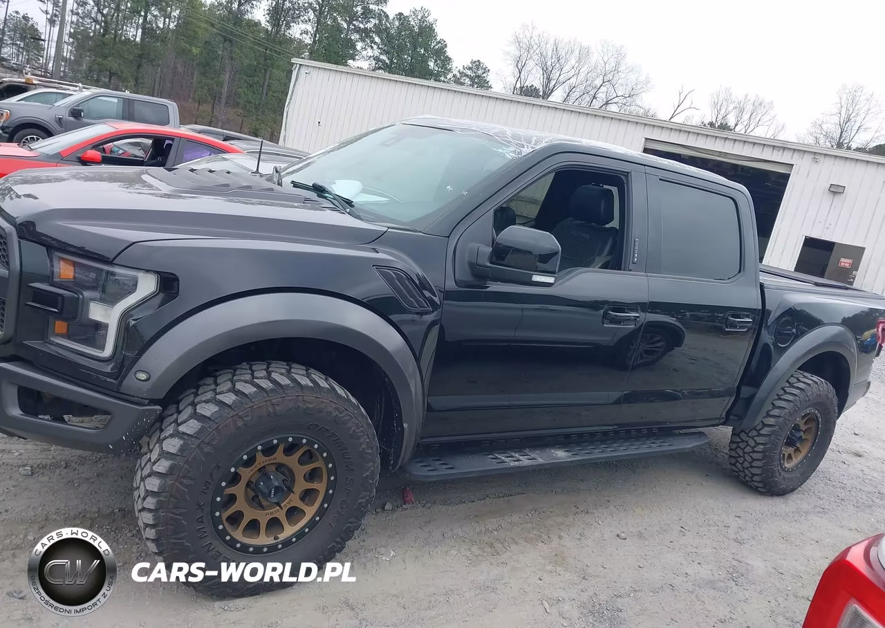 2017 Ford F-150 Raptor VIN:1FTFW1RG0HFB69622 - 14