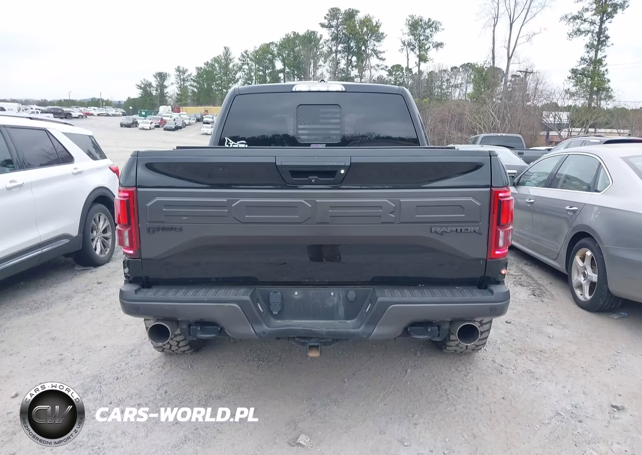 2017 Ford F-150 Raptor VIN:1FTFW1RG0HFB69622 - 16