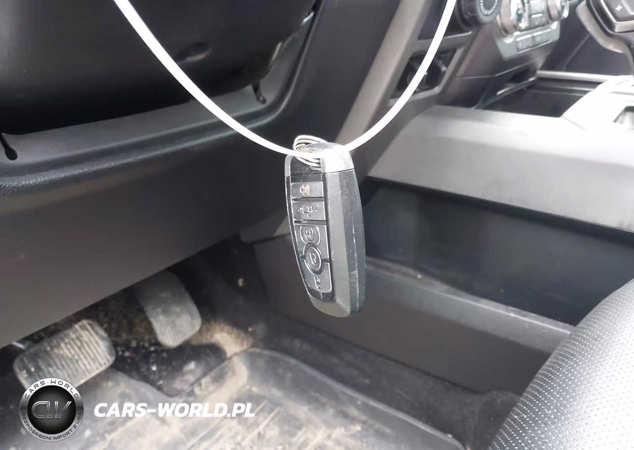 2017 Ford F-150 Raptor VIN:1FTFW1RG0HFB69622 - 17