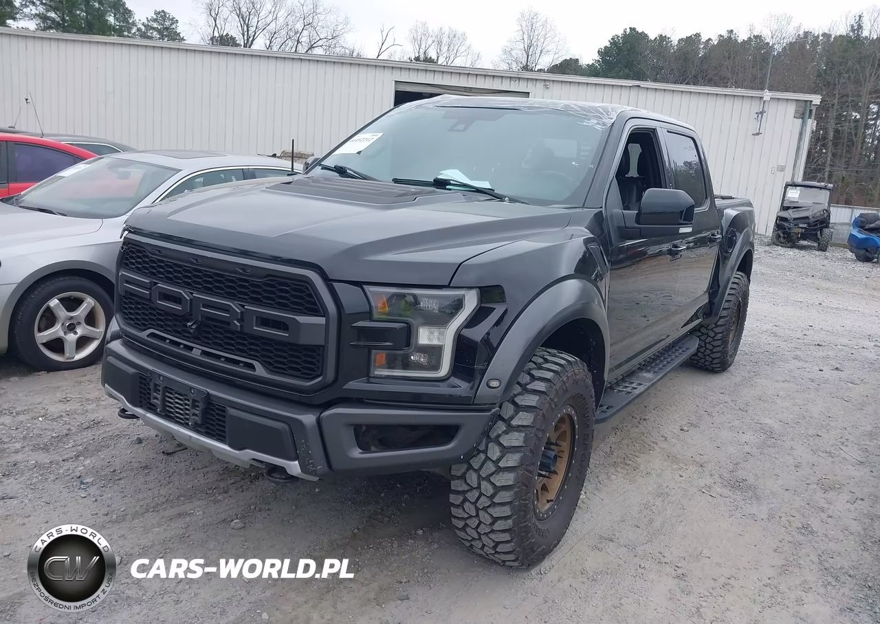 2017 Ford F-150 Raptor VIN:1FTFW1RG0HFB69622 - 2