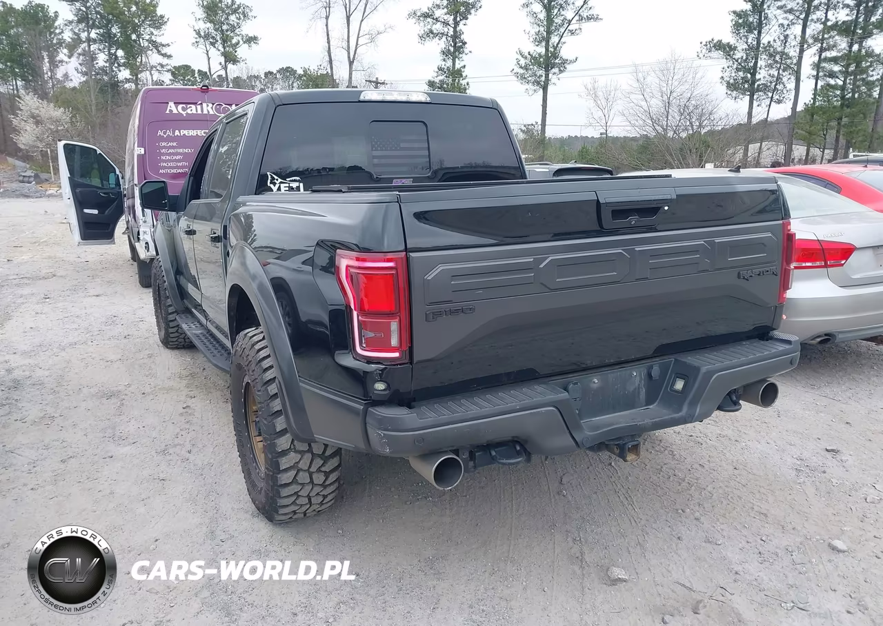 2017 Ford F-150 Raptor VIN:1FTFW1RG0HFB69622 - 3