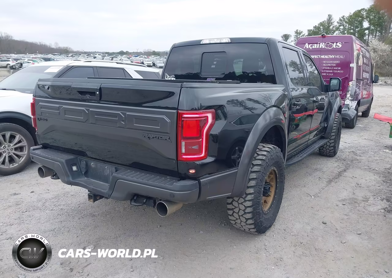2017 Ford F-150 Raptor VIN:1FTFW1RG0HFB69622 - 4