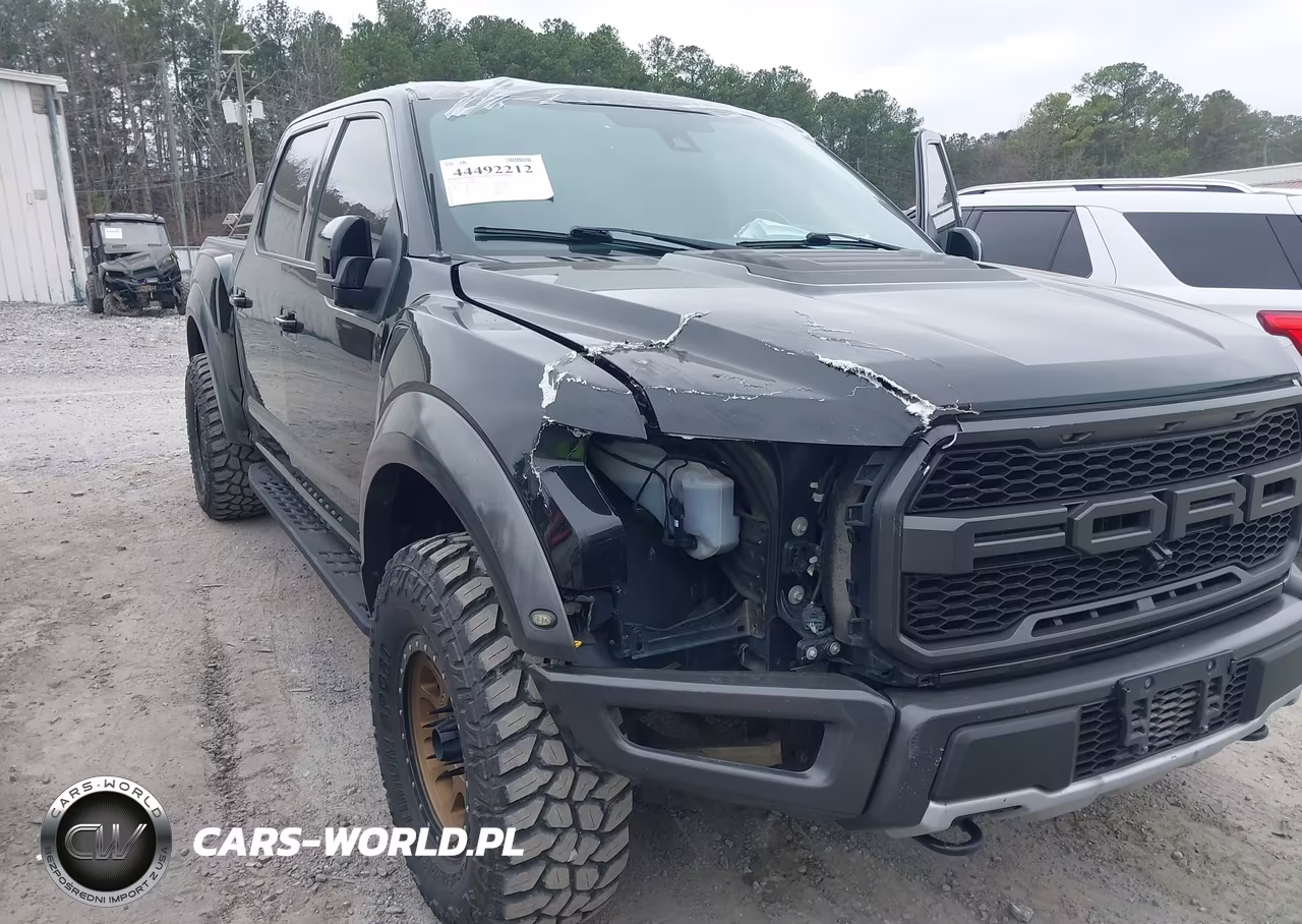 2017 Ford F-150 Raptor VIN:1FTFW1RG0HFB69622 - 6