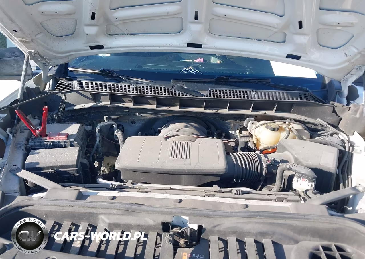 2021 Chevrolet Silverado 1500 4Wd Short Bed Custom Trail Boss VIN:1GCPYCEF6MZ300049 - 10