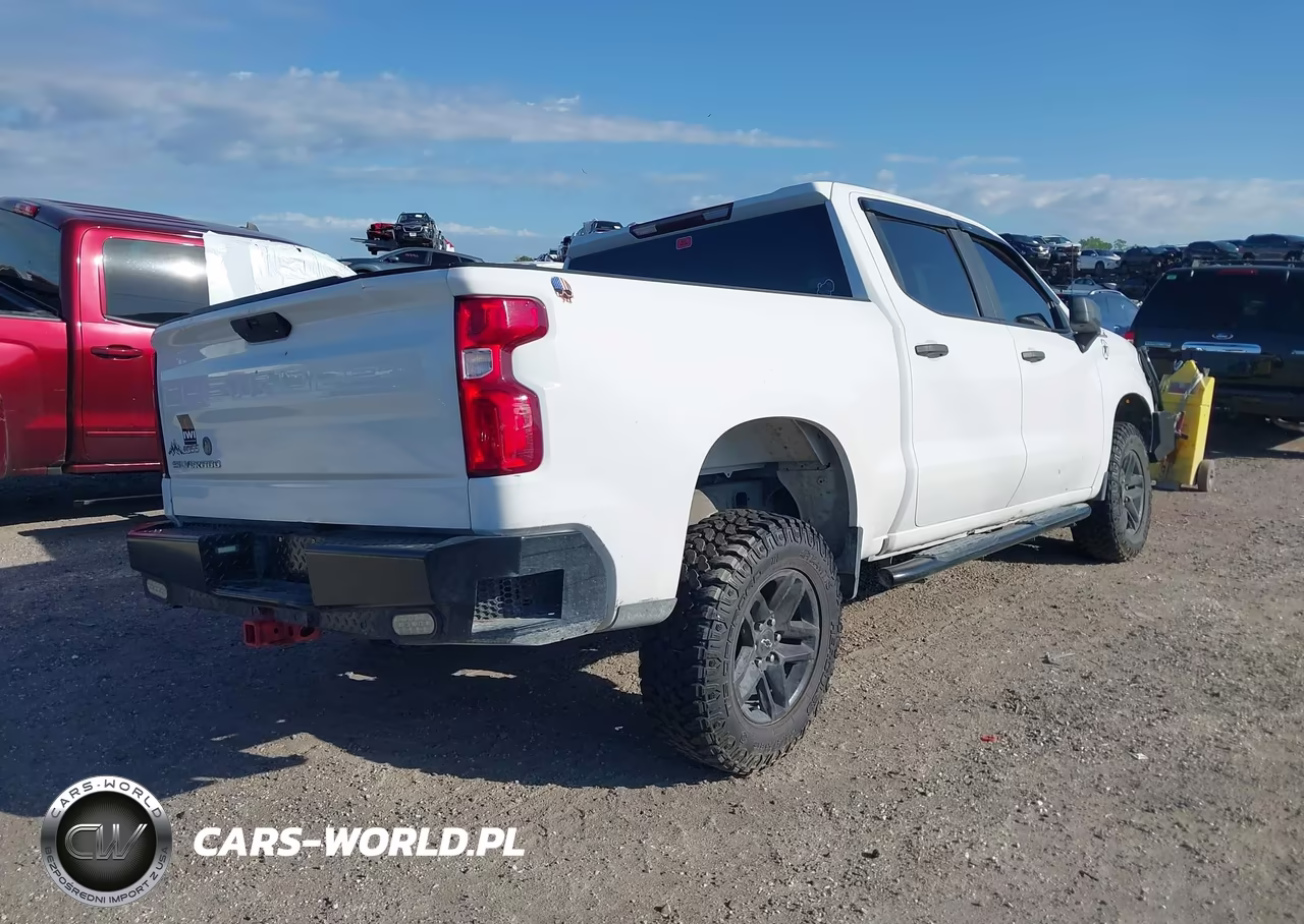 2021 Chevrolet Silverado 1500 4Wd Short Bed Custom Trail Boss VIN:1GCPYCEF6MZ300049 - 4