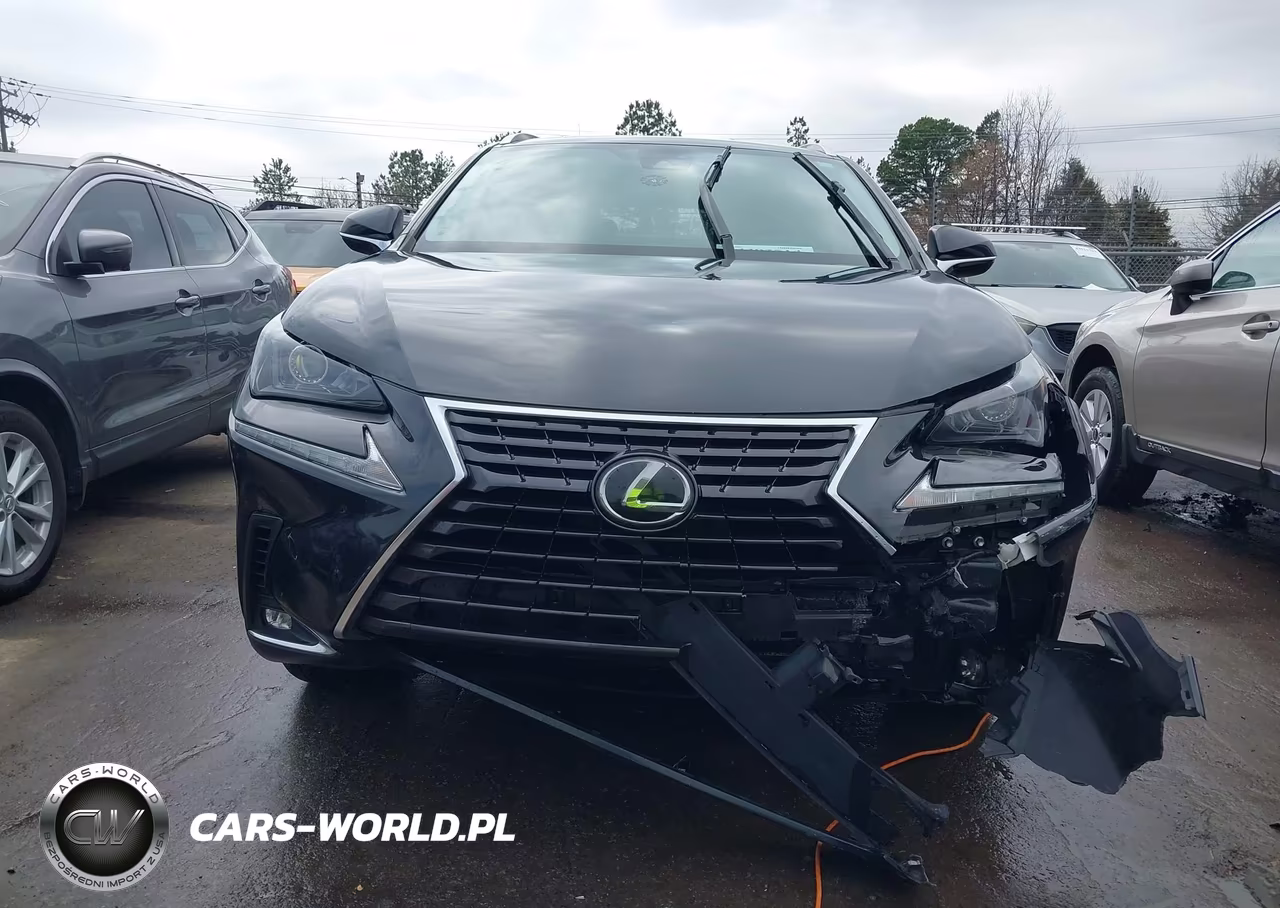 2018 Lexus Nx 300 VIN:JTJYARBZ7J2088709 - 12