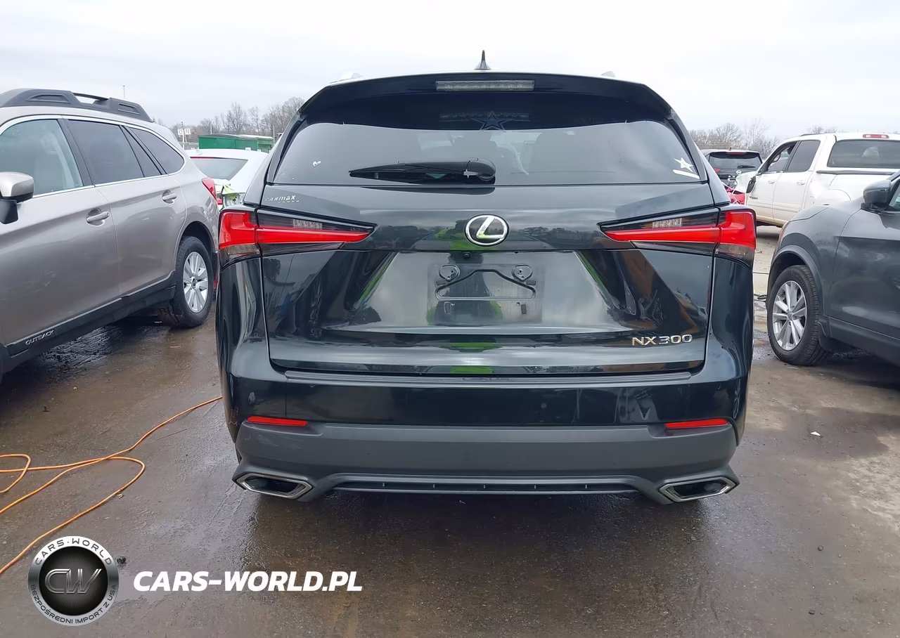 2018 Lexus Nx 300 VIN:JTJYARBZ7J2088709 - 16