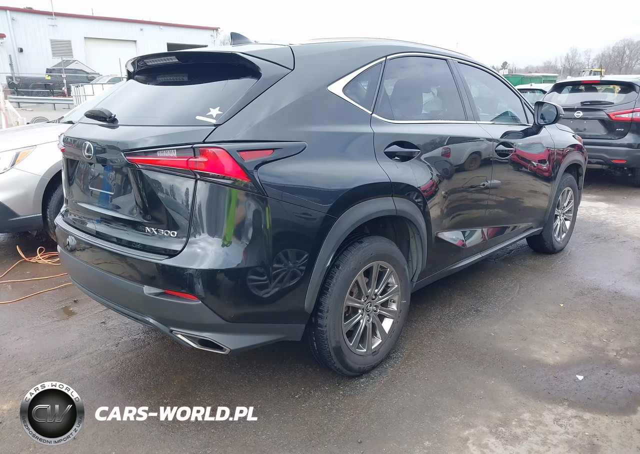 2018 Lexus Nx 300 VIN:JTJYARBZ7J2088709 - 4
