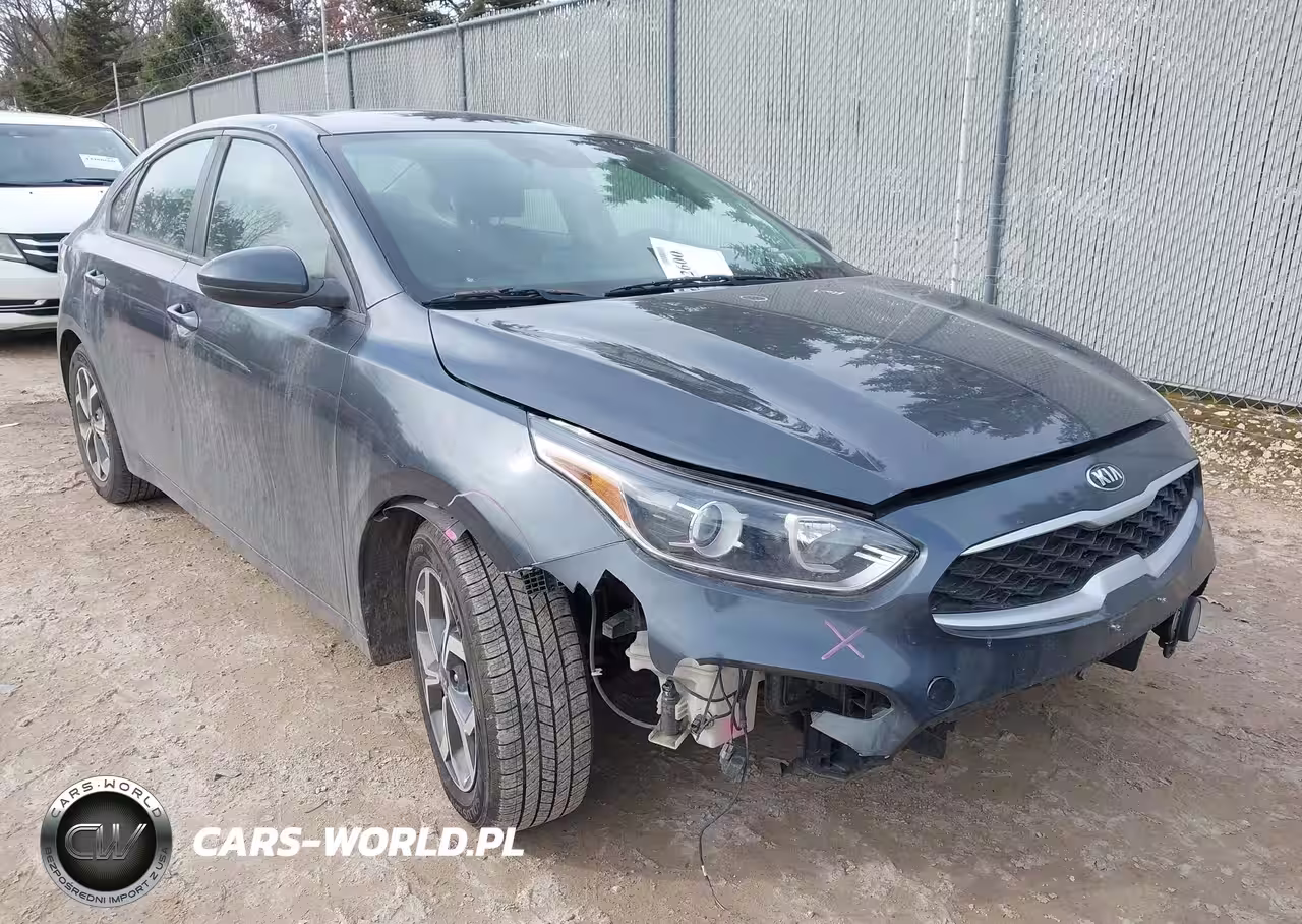 2019 Kia Forte Lxs