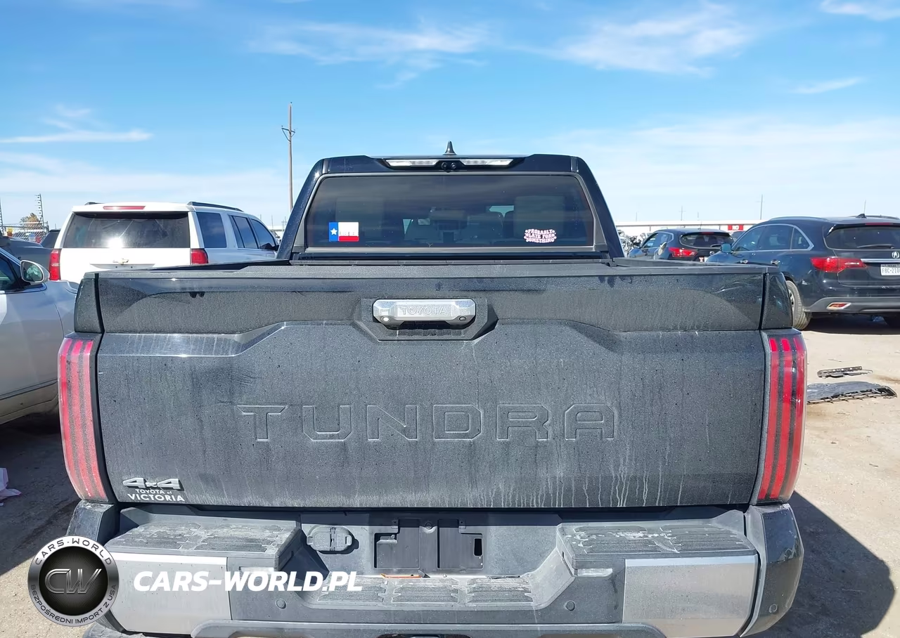 2025 Toyota Tundra Limited VIN:5TFJA5DB6SX251884 - 17