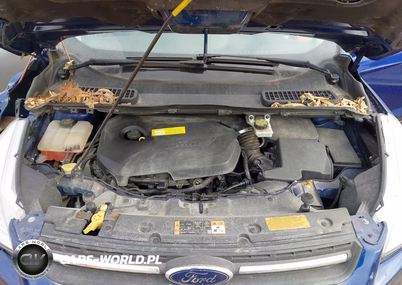 2015 Ford Escape Se VIN:1FMCU0GX4FUC60175 - 10