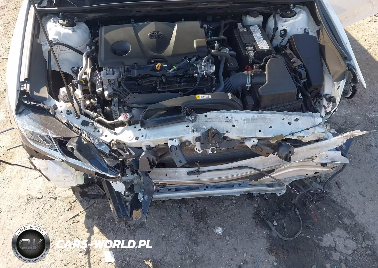 2022 Toyota Camry Le VIN:4T1C11AK2NU004062 - 10