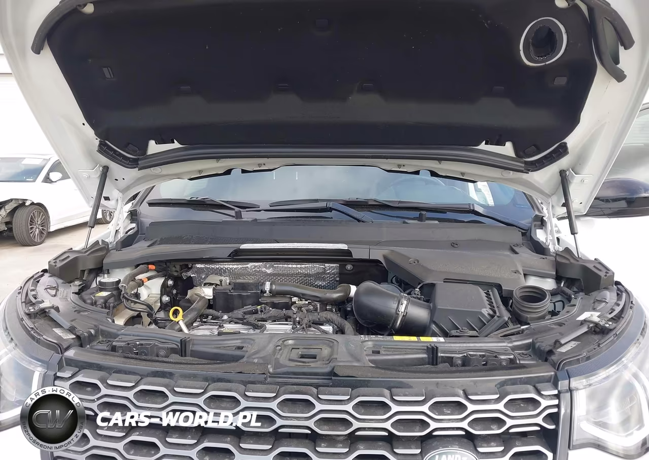 2020 Land Rover Discovery Sport R-Dynamic S-R-Dynamic Se VIN:SALCT2FX9LH879906 - 10